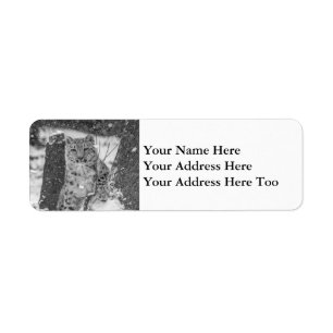 Snow Leopard Cub Peering out From a Snowy Tree Return Address Label
