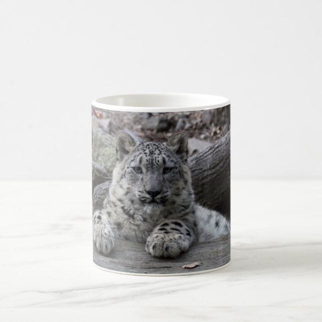 Snow Leopard Cub Sitting Coffee Mug (Center)