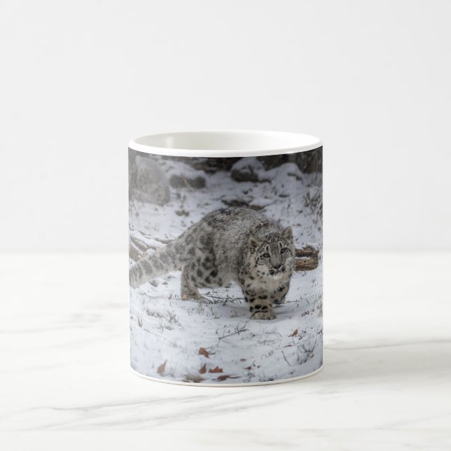 Snow Leopard Cub Stalking Coffee Mug (Center)