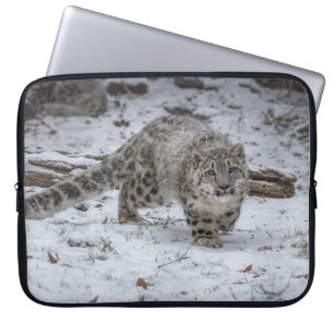 Snow Leopard Cub Stalking Laptop Sleeve