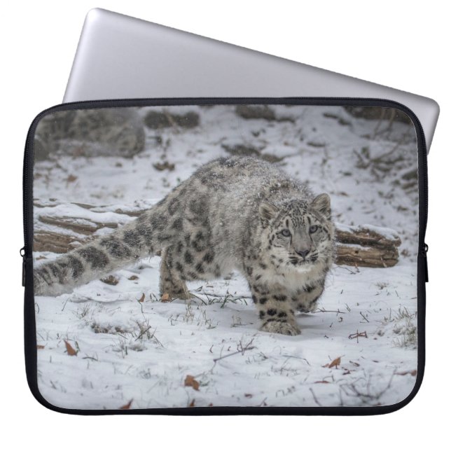Snow Leopard Cub Stalking Laptop Sleeve (Front)