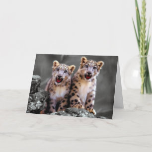 Snow Leopard Cubs Card