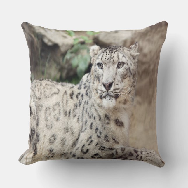 Snow Leopard Cushion (Front)