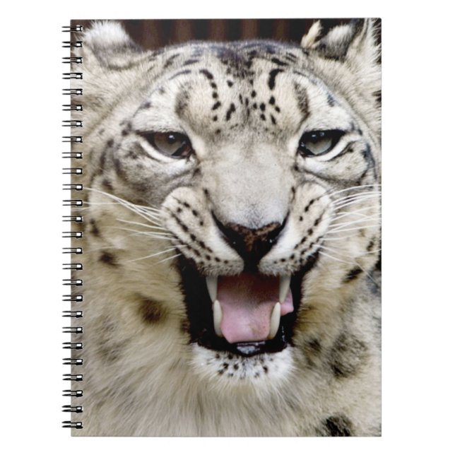 Snow Leopard Face Notebook (Front)