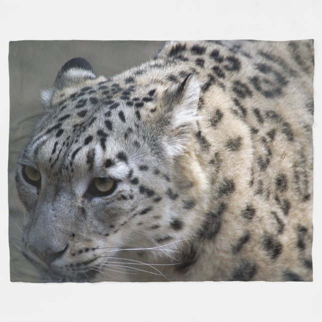 Snow Leopard Fleece Blanket, Large (Front (Horizontal))