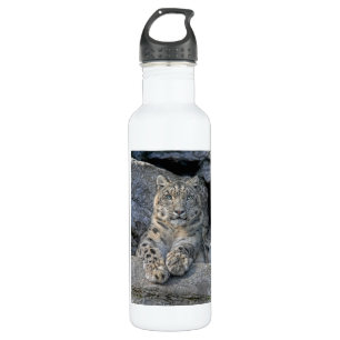 Snow Leopard Following Eyes 710 Ml Water Bottle