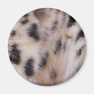 Snow Leopard Fur Magnet