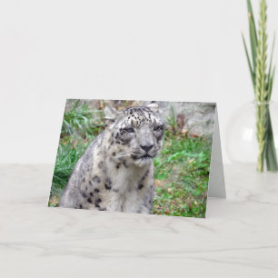 Snow Leopard Greeting Card