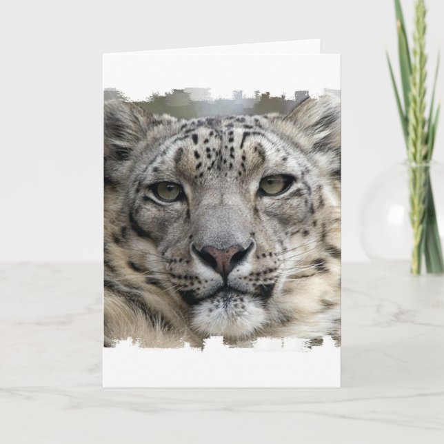 Snow Leopard Greeting Card (Front)