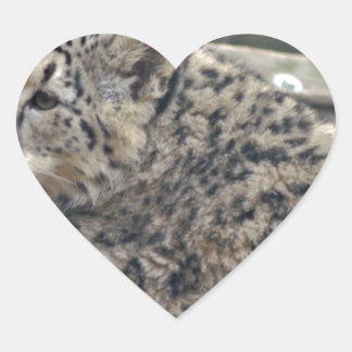 Snow Leopard Heart Sticker