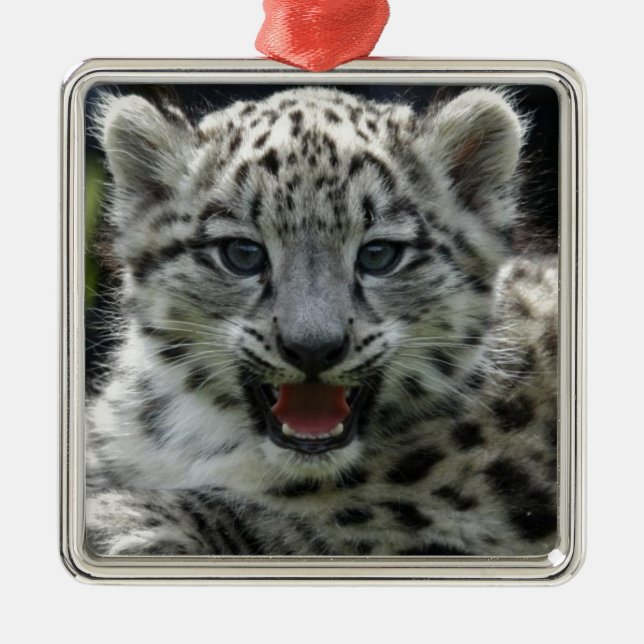 Snow Leopard Kitten Metal Tree Decoration (Front)