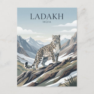 Snow Leopard, Ladakh India Postcard