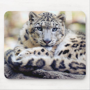 Snow leopard mouse pad