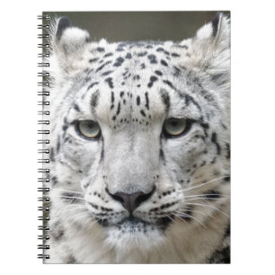 Snow Leopard Notebook