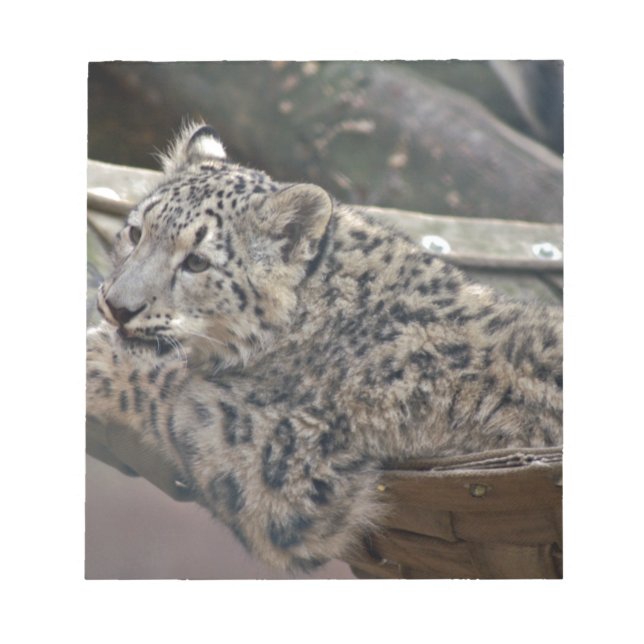 Snow Leopard Notepad (Front)