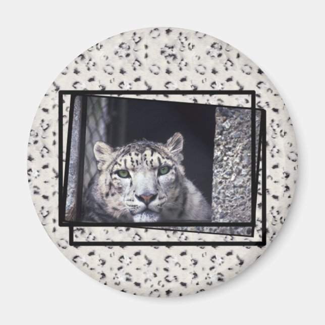 Snow Leopard Photo Magnet (Front)