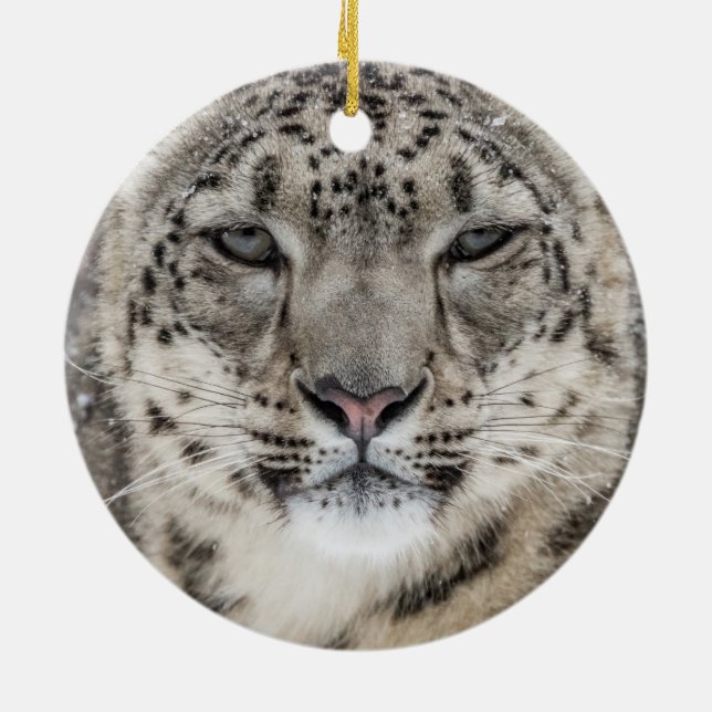 Snow Leopard Portrait Ceramic Ornament (Back)