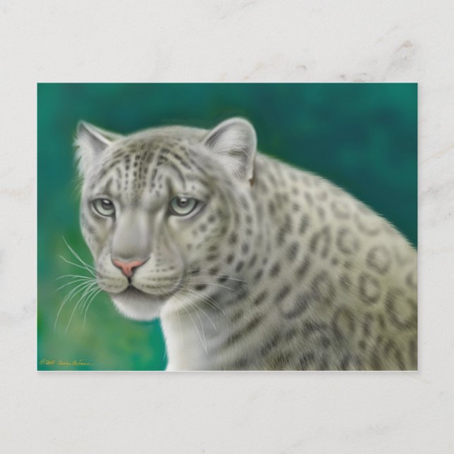 Snow Leopard Postcard (Front)