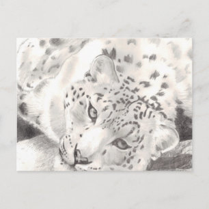 Snow Leopard Postcard
