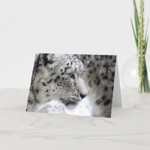 Snow Leopard Profile Portrait Card