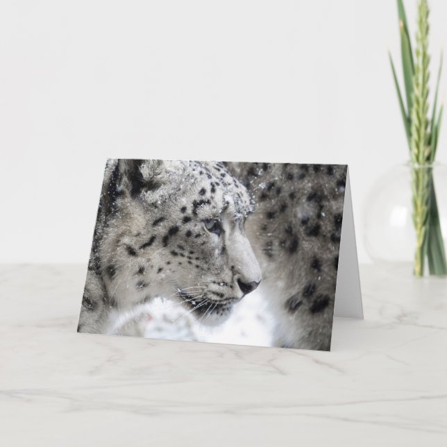 Snow Leopard Profile Portrait Card (Front)