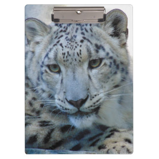 Snow leopard puzzle clipboard