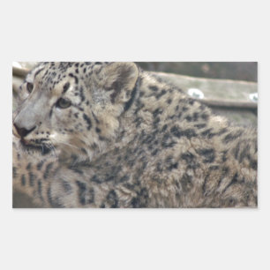 Snow Leopard Rectangular Sticker