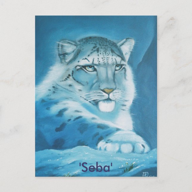 snow leopard, 'Seba' Postcard (Front)
