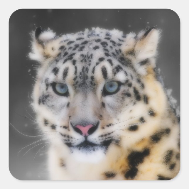 Snow Leopard Square Sticker (Front)