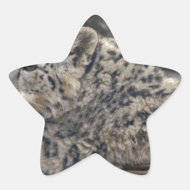 Snow Leopard Star Sticker (Front)