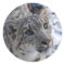 snow leopard stickers