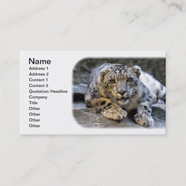 Snow Leopard the Starring Feline Cat Business Card (Front)