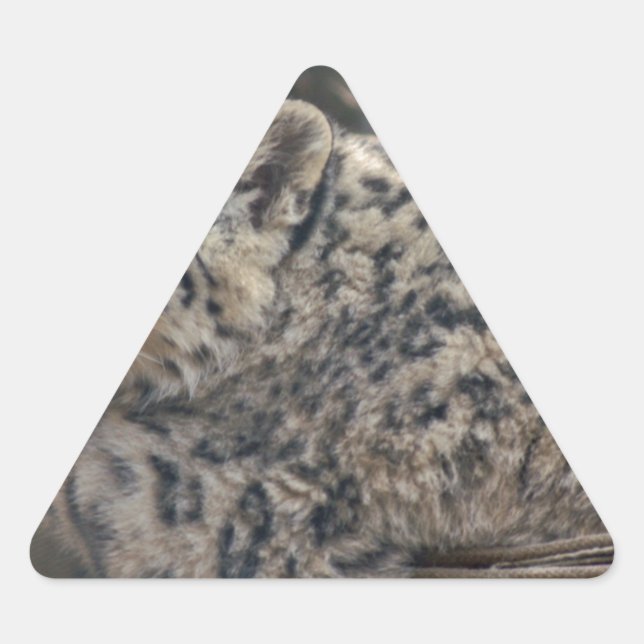 Snow Leopard Triangle Sticker (Front)