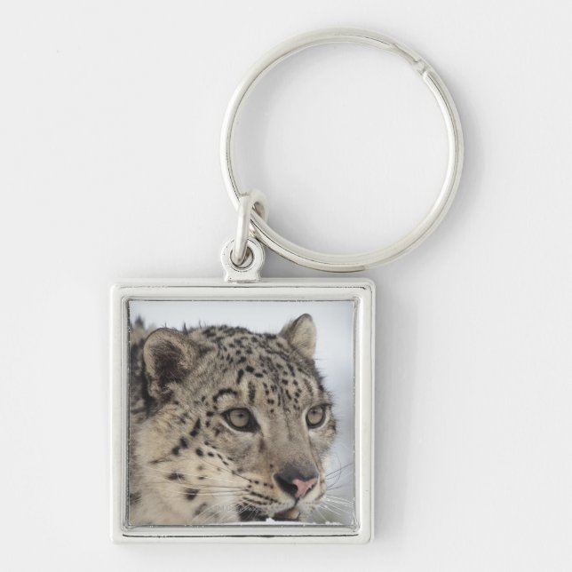 Snow leopard (Uncia uncia) 2 Key Ring (Front)