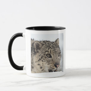 Snow leopard (Uncia uncia) 2 Mug
