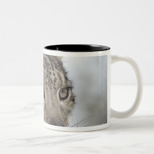 Snow leopard (Uncia uncia) 2 Two-Tone Coffee Mug