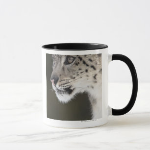 Snow leopard (Uncia uncia) Mug