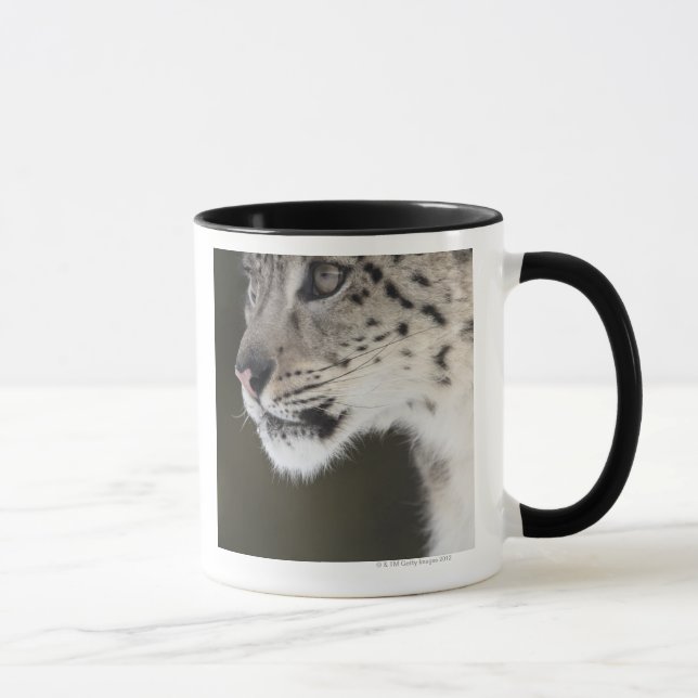 Snow leopard (Uncia uncia) Mug (Right)