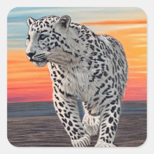 Snow Leopard Walking on the Beach During a Sunset Square Sticker