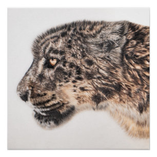 Snow leopard wall poster