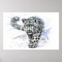 Snow Leopard Watercolor Poster