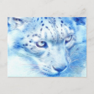 *Snow Leopard* Wild Spirit Postcard