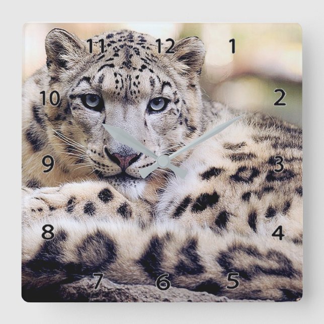 Snow Leopard Wildlife Wall Clock (Front)
