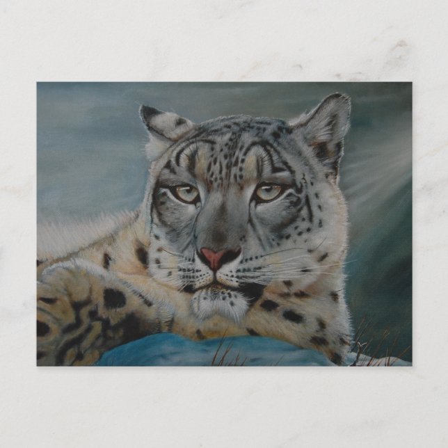 snow leopard winter postcard (Front)