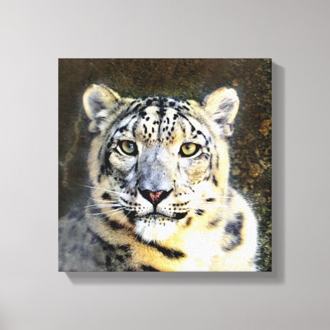 Snow Leopard Wrapped Canvas (Front)
