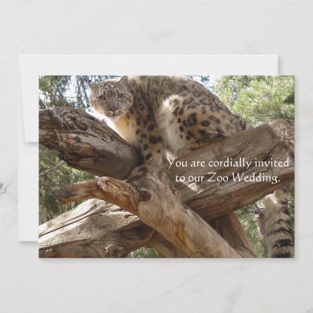Snow Leopard Zoo Wedding Invitations (Front)