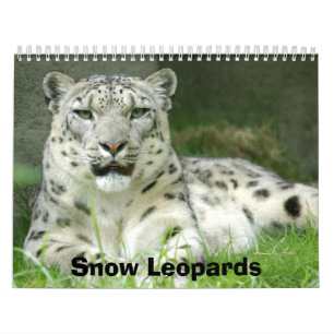 Snow Leopards Calendar, Snow Leopards Calendar