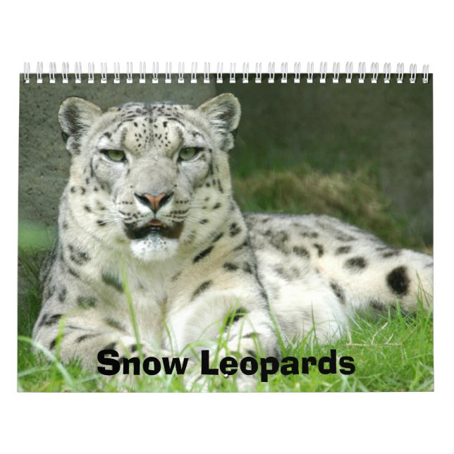 Snow Leopards Calendar, Snow Leopards Calendar (Cover)