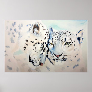 Snow Leopards Poster