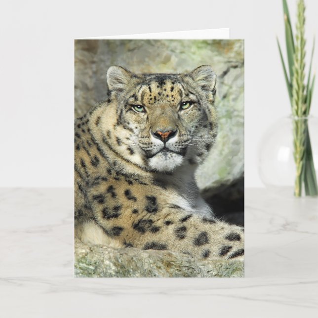 Snow Lepord Portrait Card (Front)